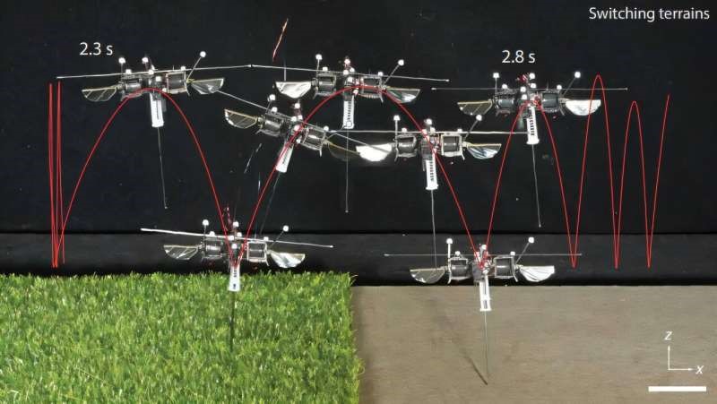 麻省理工学院开发跳跃机器人 可穿越复杂地形并承载重物