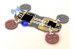 宾夕法尼亚州立大学开发微型柔性机器人 展现救生潜力